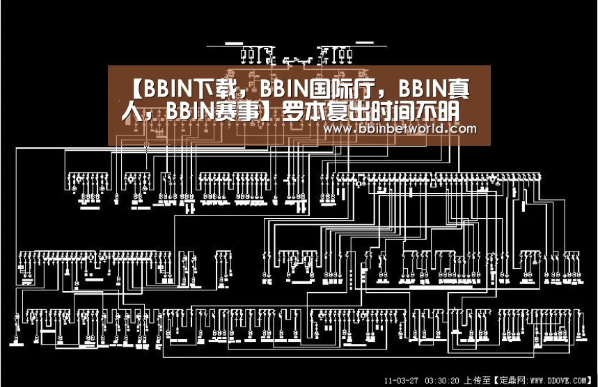 【BBIN下载,BBIN国际厅,BBIN真人,BBIN赛事】罗本复出时间不明朗(图2) BBIN下载,BBIN国际厅,BBIN真人,BBIN赛事